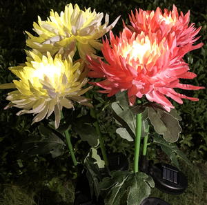 Artificial Chrysanthemum Solar Garden Light Buy 2 get 10% off