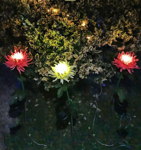 Artificial Chrysanthemum Solar Garden Light Buy 2 get 10% off