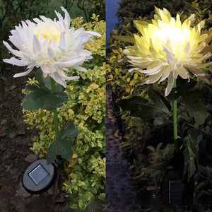 Artificial Chrysanthemum Solar Garden Light Buy 2 get 10% off