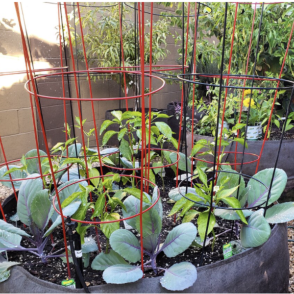 Round Garden Raised Planting Bed